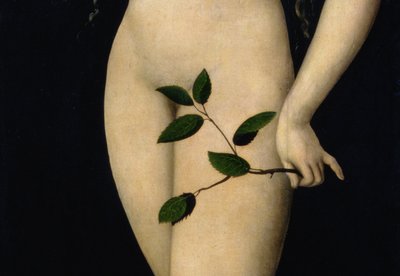 Eva, 1528 (detail) door Lucas Cranach the Elder